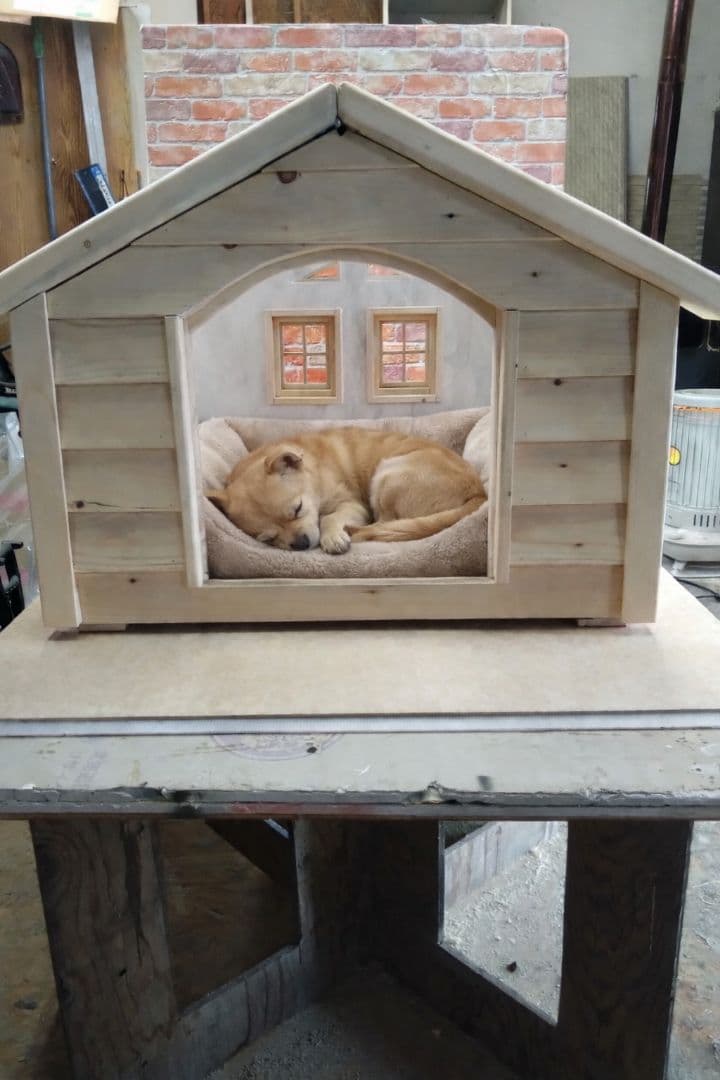 職人手作り 木製ペットハウス「Kenno」初号機　小型犬・猫用／室内用／特典付