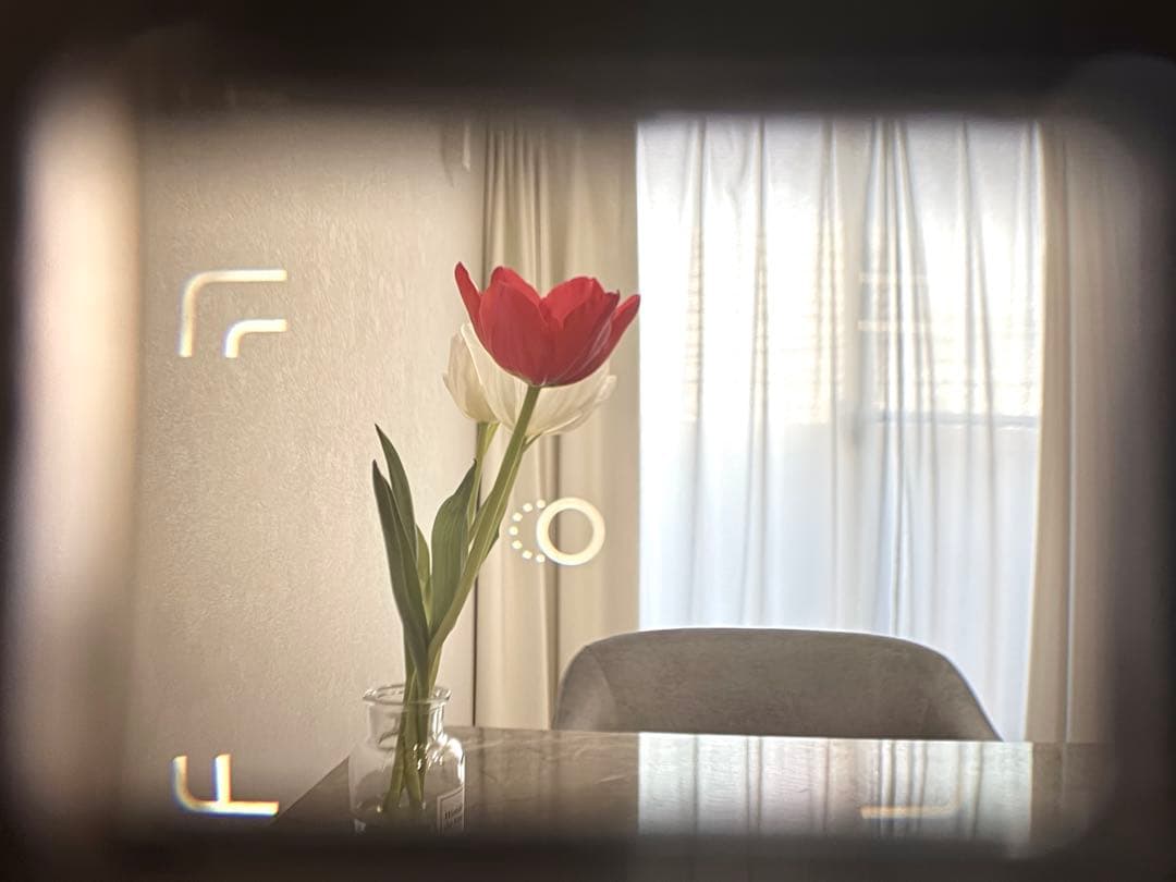 動作確認済 CONTAX T2 Titan Black チタンブラック