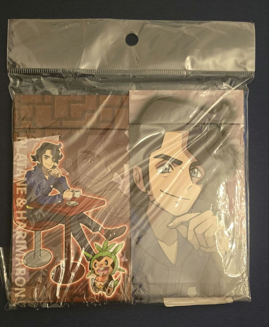 ポケモン　プラターヌ　缶バッジ　メモ　ファイル