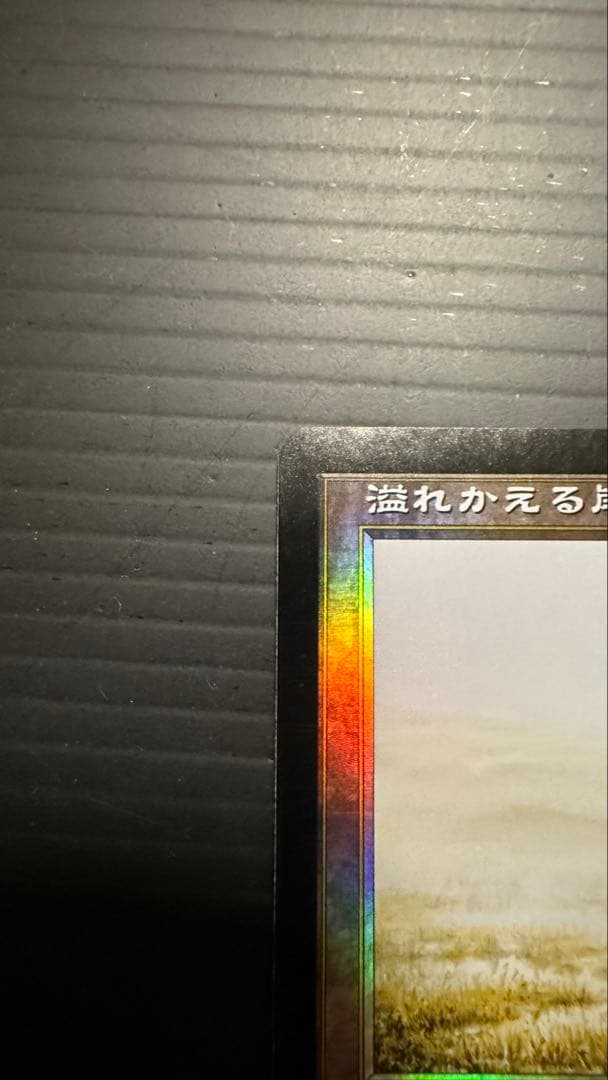 溢れかえる岸辺 日本語版