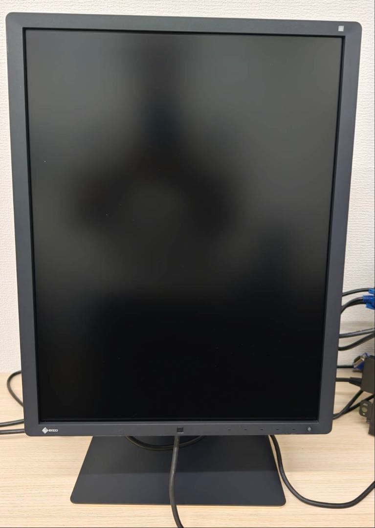 EIZO RadiForce RX250 21.3型　縦型ワイドモニター　57H
