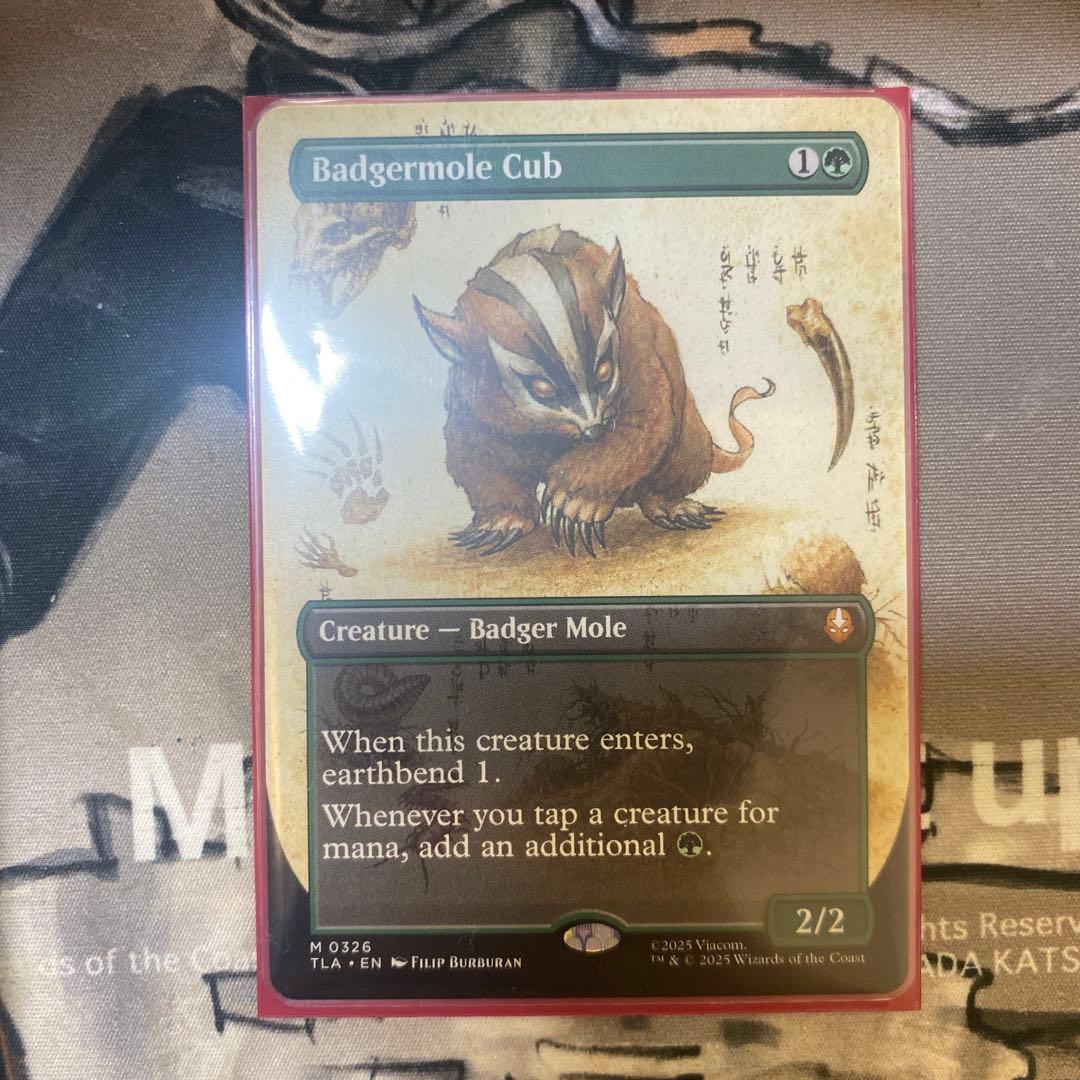 アナグマモグラの仔 英語 ボーダーレス Badgermole Cub