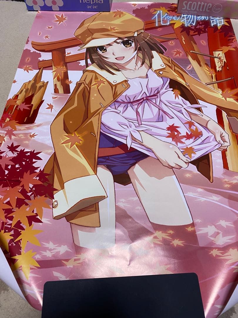 化物語　偽物語　ポスター