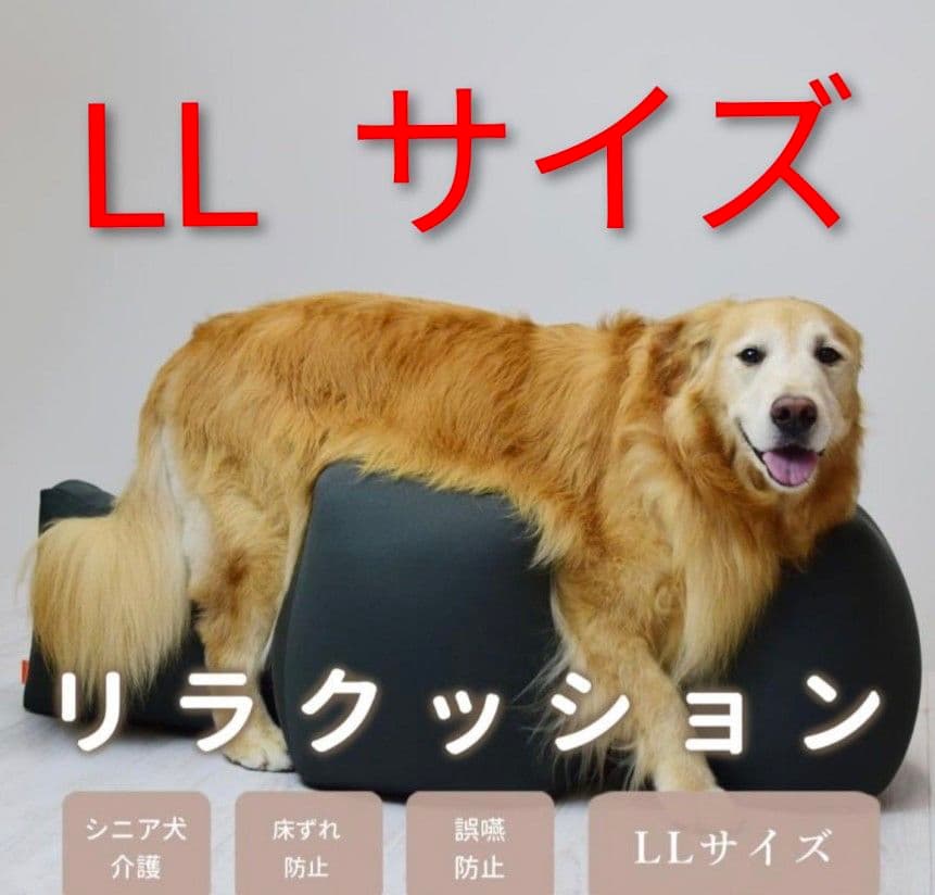 【カバー付】OneAid リラクッション LLサイズ 撥水加工カバー付き