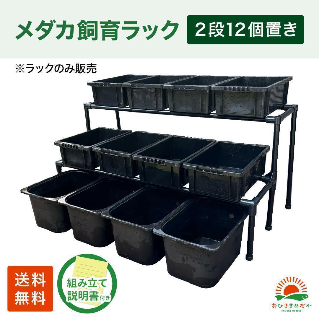 ★メダカ飼育ラック黒2段12個置き★ めだか飼育棚NVBOXビオトープ