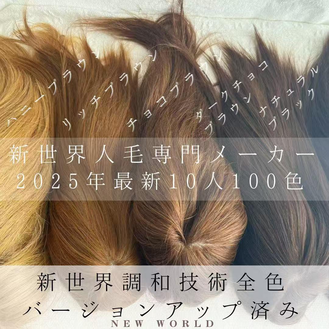 2025新世界　人毛　ウィッグ　フルウィッグ　シルクスキン　医療ウィッグ　レミー
