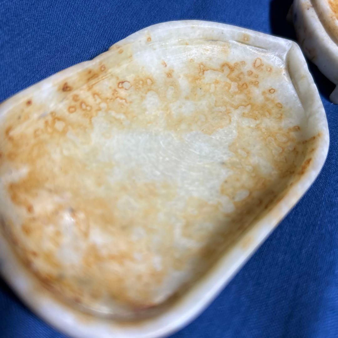 中国アンティーク 清古玉蝉 香合