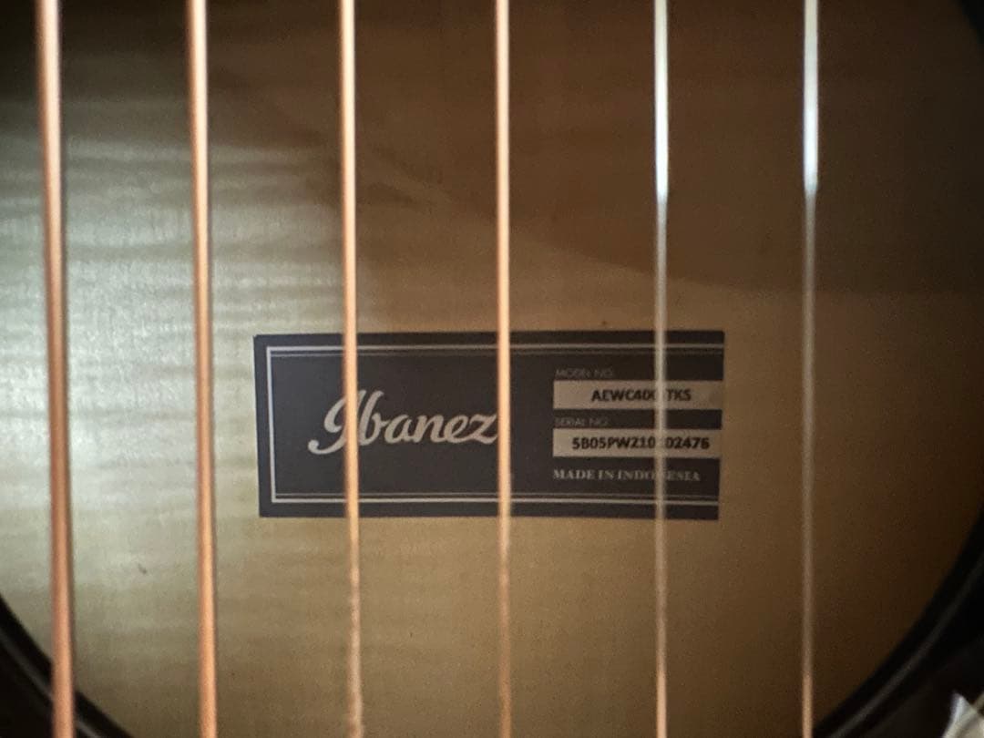 ギター Ibanez AEWC400-TKS