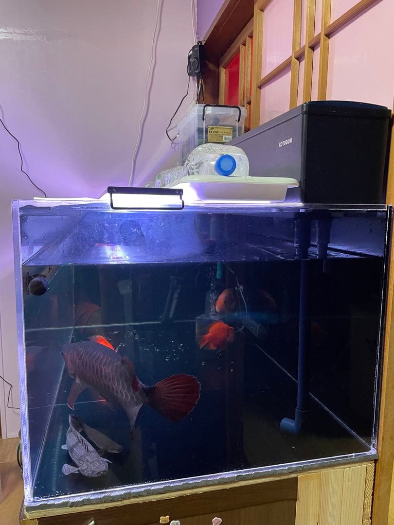 アクリル水槽
