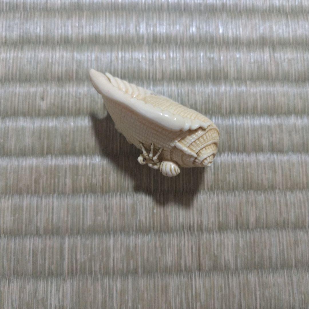 マンモス牙彫　根付　帯留　貝殻に蟻