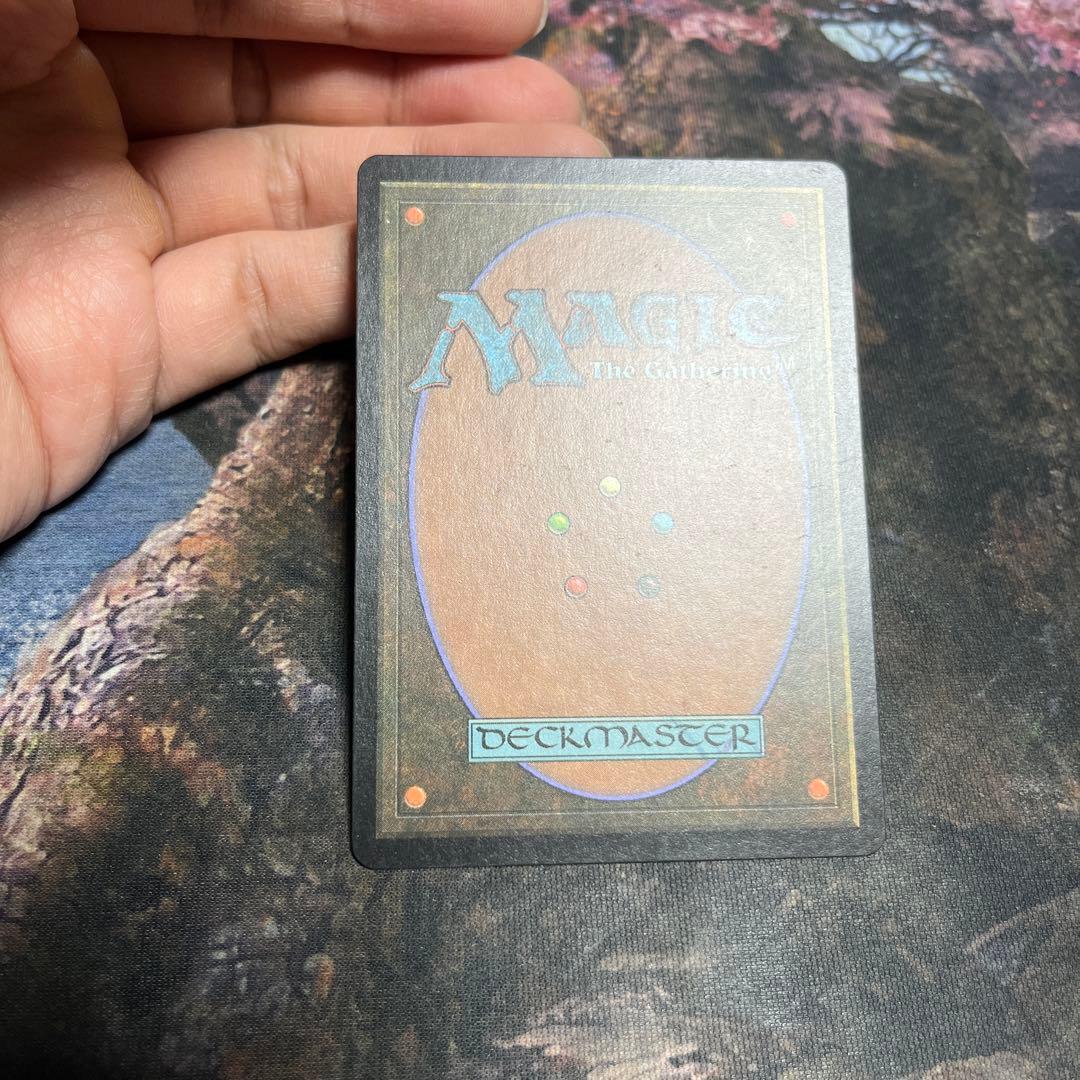 MTG グルランド　森　forest guru