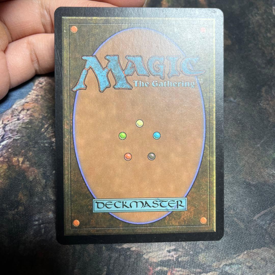 MTG グルランド　森　forest guru