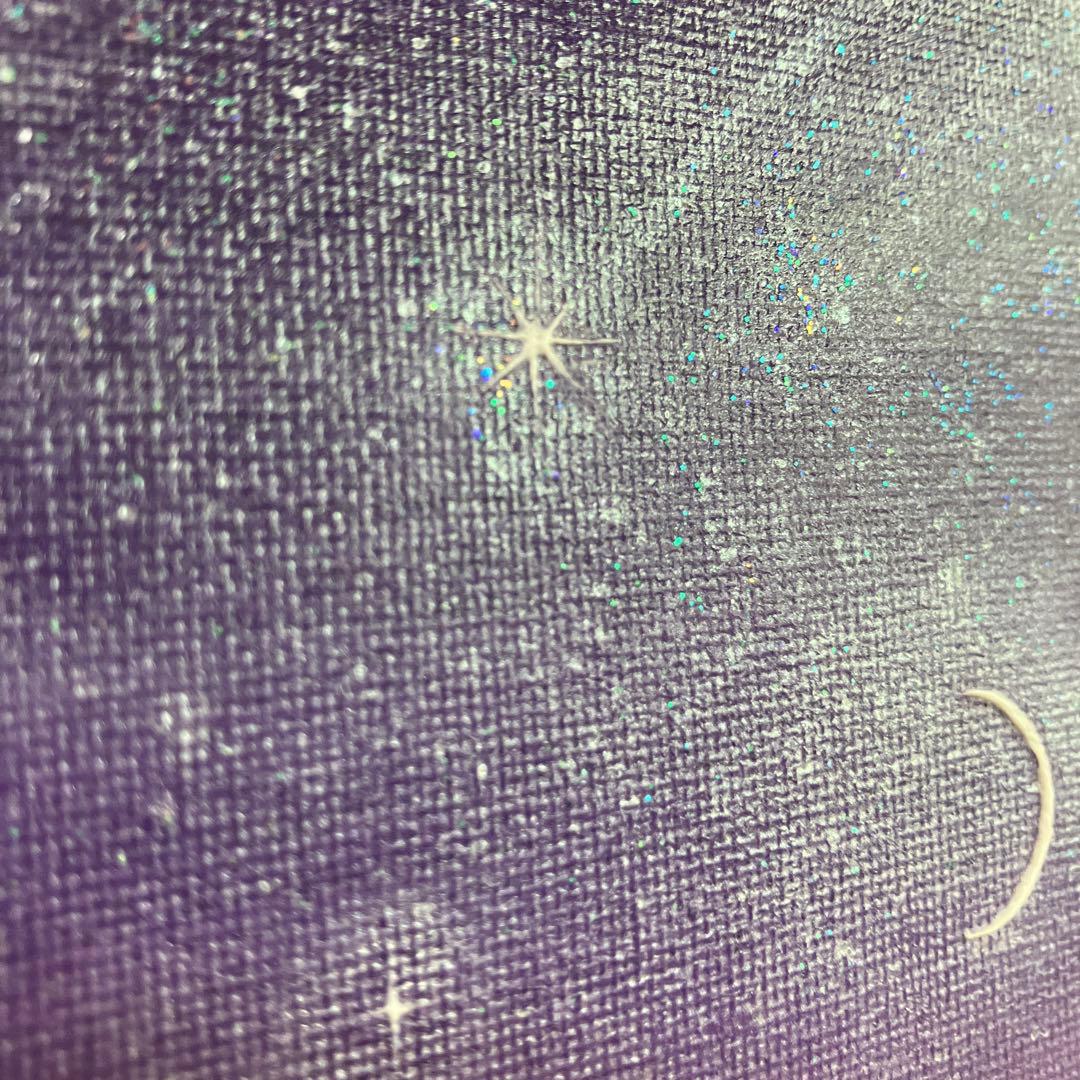 絵画　アクリル画　原画　星降る月夜に願う　海　星月夜　テクスチャーアート　S.I
