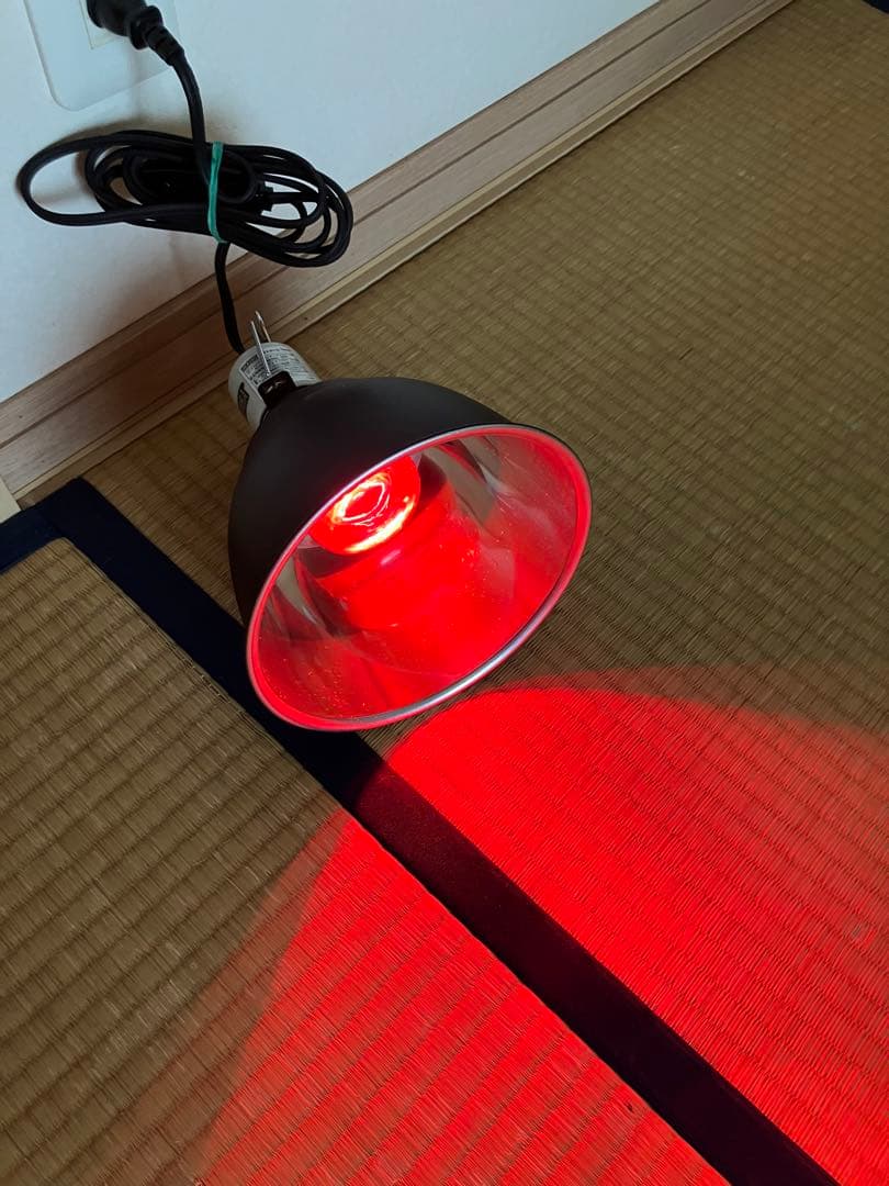 『直接手渡し』爬虫類飼育セット エキゾテラ4530