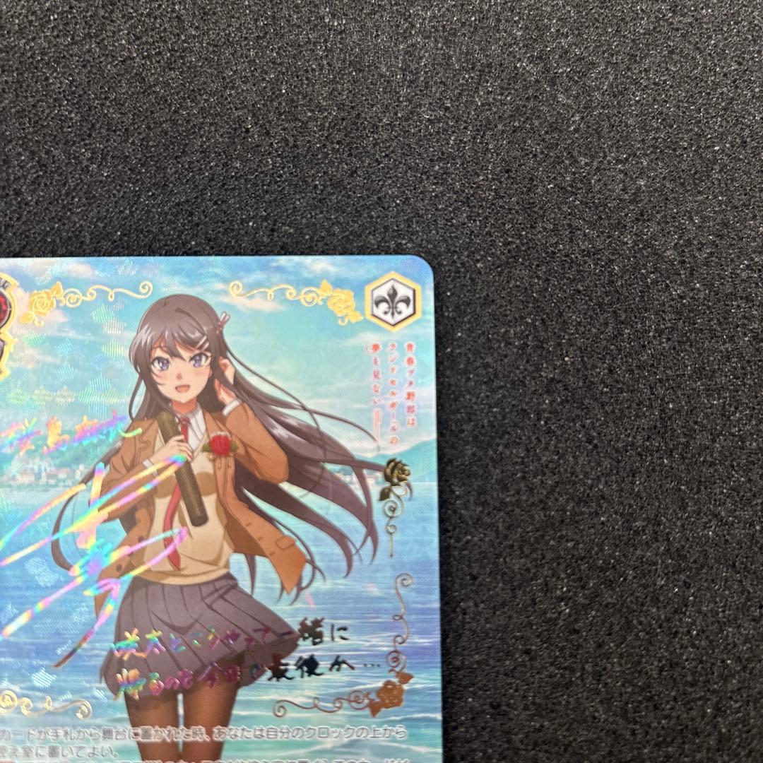 ヴァイスシュヴァルツ　青ブタ　君と過ごした一年間　桜島麻衣　ABR サイン