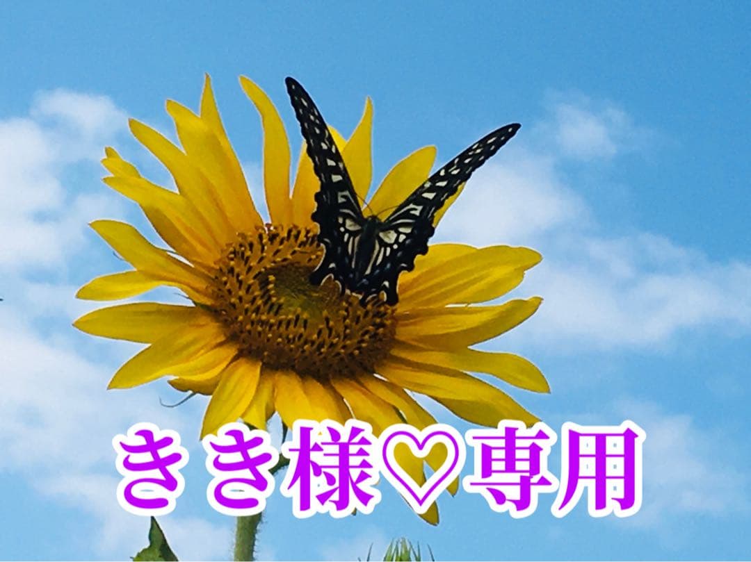 きき様❤️おまとめ専用ページです。2/26まで♡