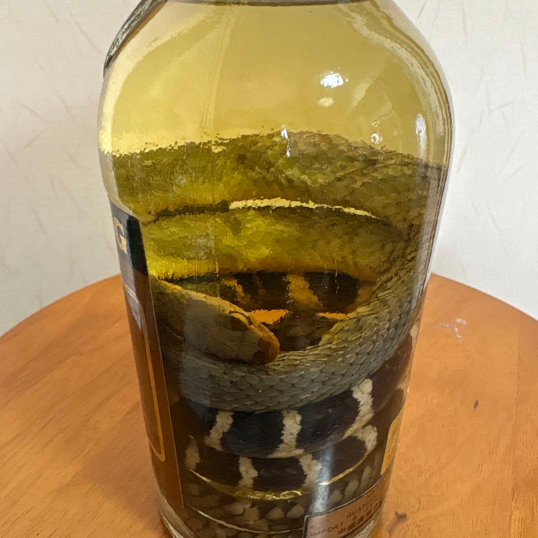 古酒　三蛇酒