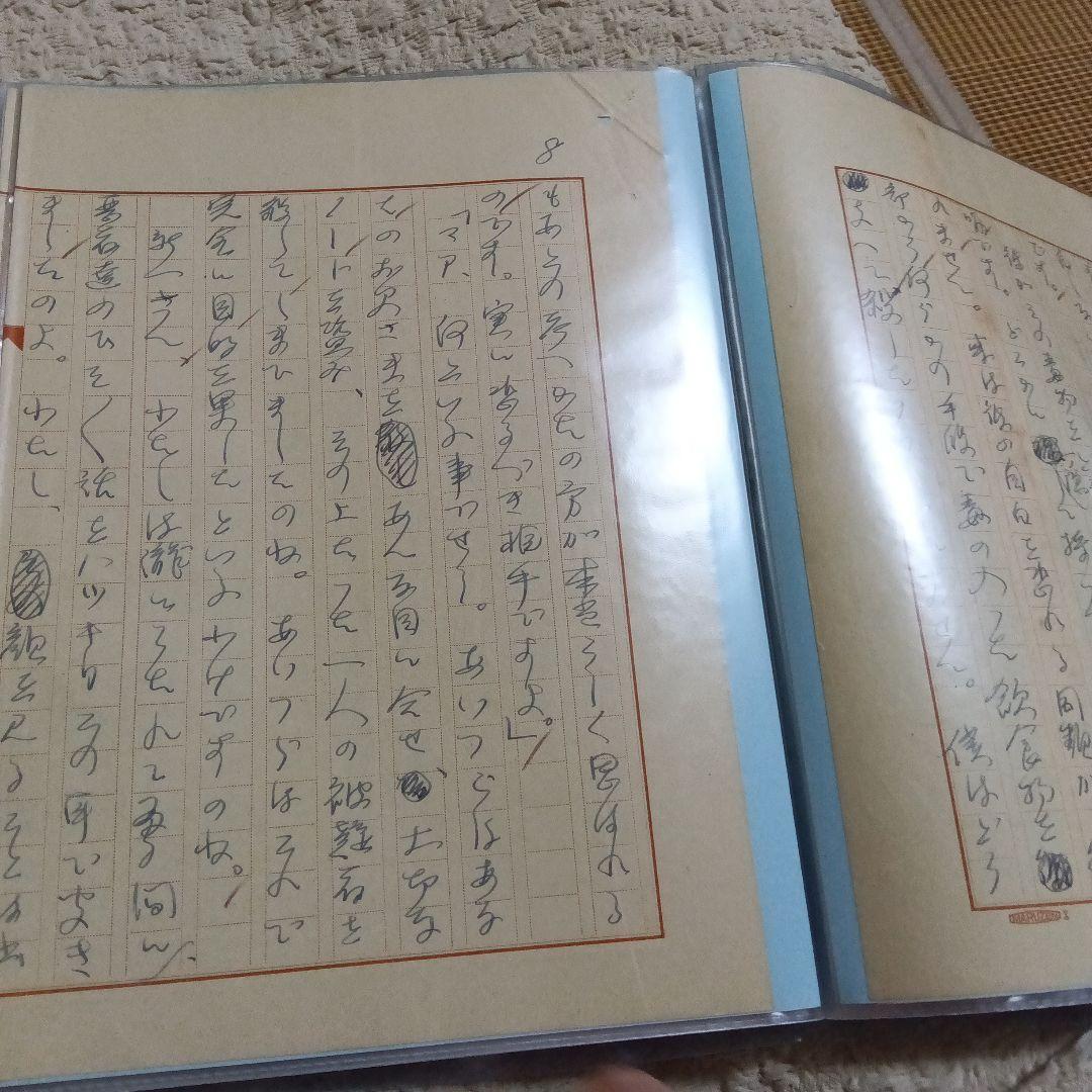 江戸川乱歩　直筆原稿　草稿　偉大なる夢　サイン　署名　原稿用紙20枚　未完