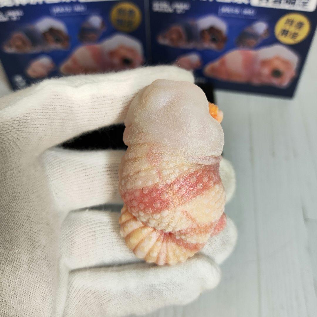 【動物の惑星】88体限定★ニシアフリカトカゲモドキ（脱皮版）2体!! フィギュア