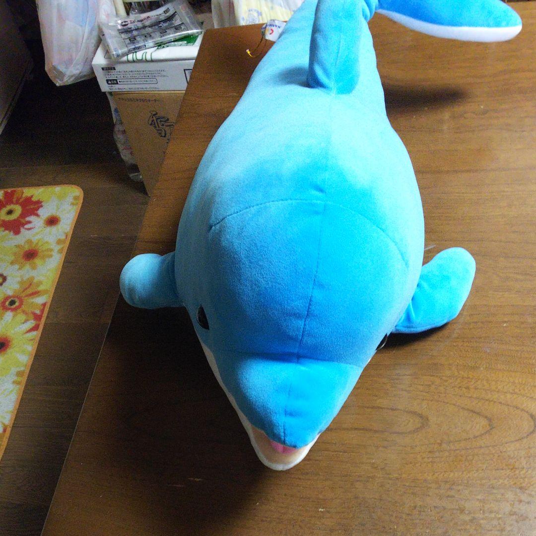 イルカぬいぐるみ