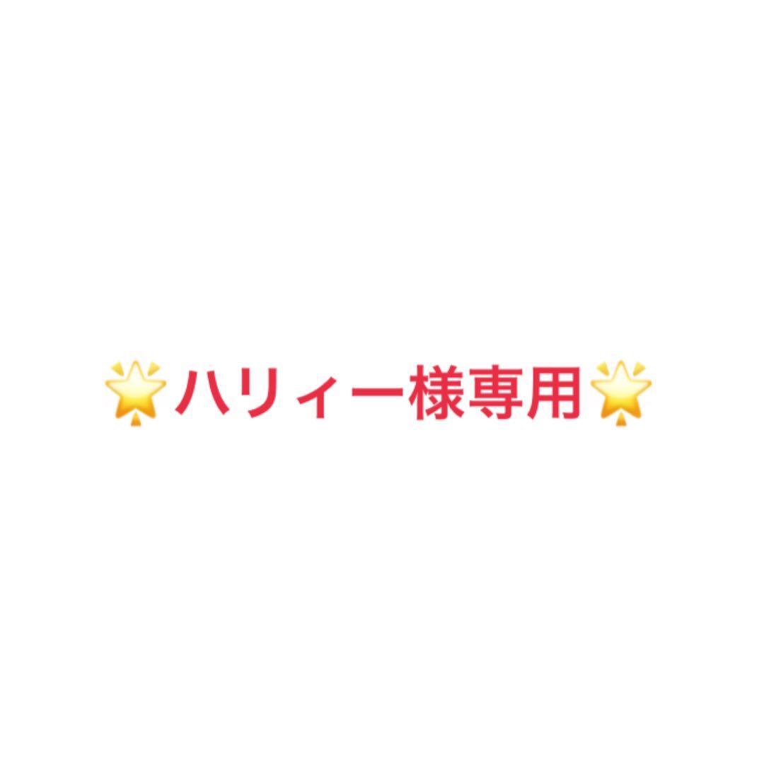 【ハリィー】動くポケモンコレクション3体セット