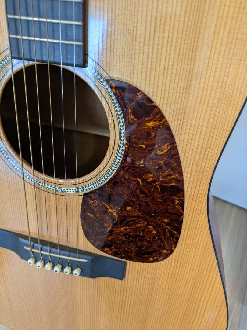 マーチン Martin アコースティックギター　CTM D-16GT