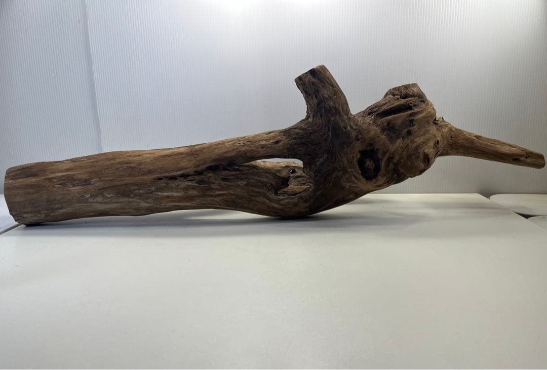 R71特大流木 アク抜き済み流木 爬虫類シェルター 登り木 インテリア 生け花