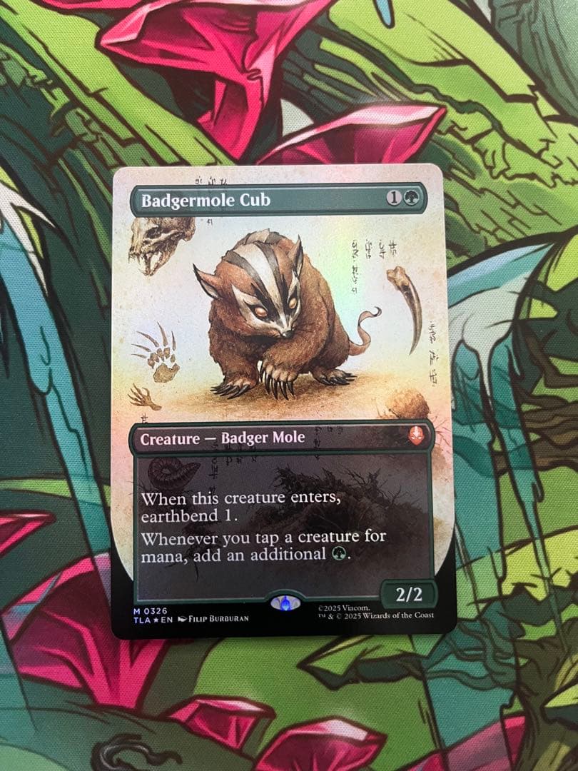 MTG ボーダーレス foil アナグマモグラの仔 Badgermole Cub