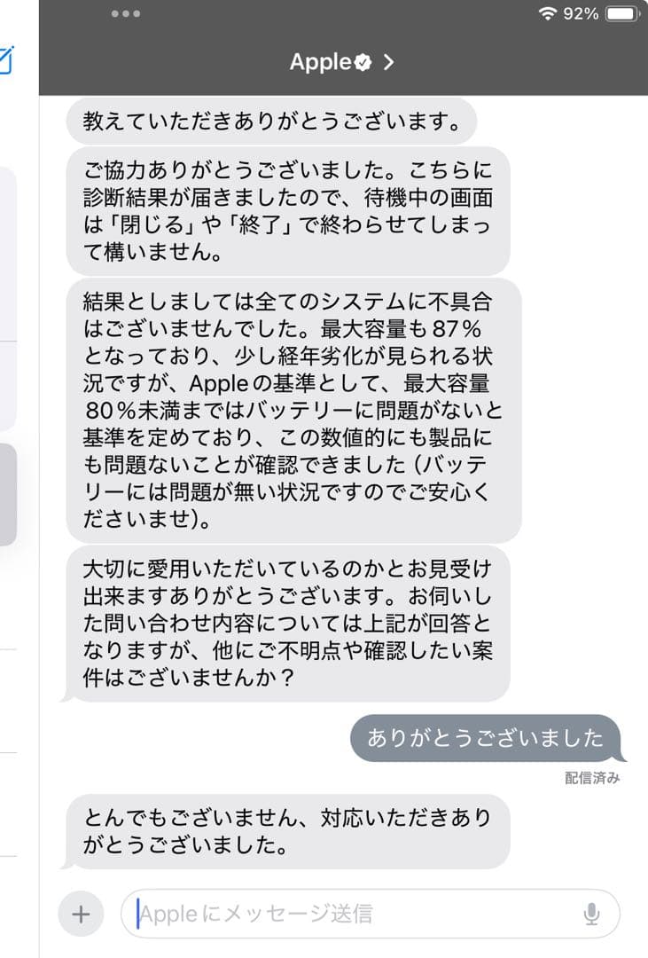 iPad mini 5 64G 最大容量87%セルラーモデル