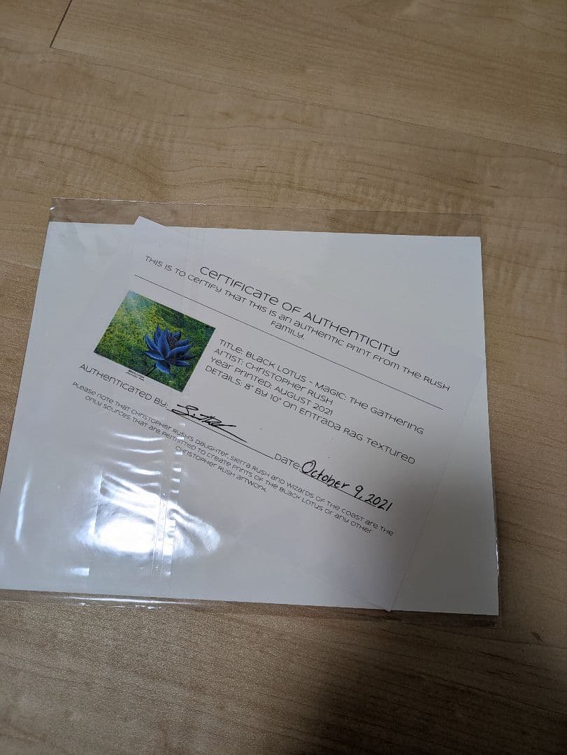 MTG アートプリント　ブラックロータス