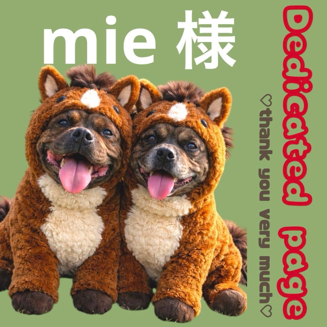 その他 mie