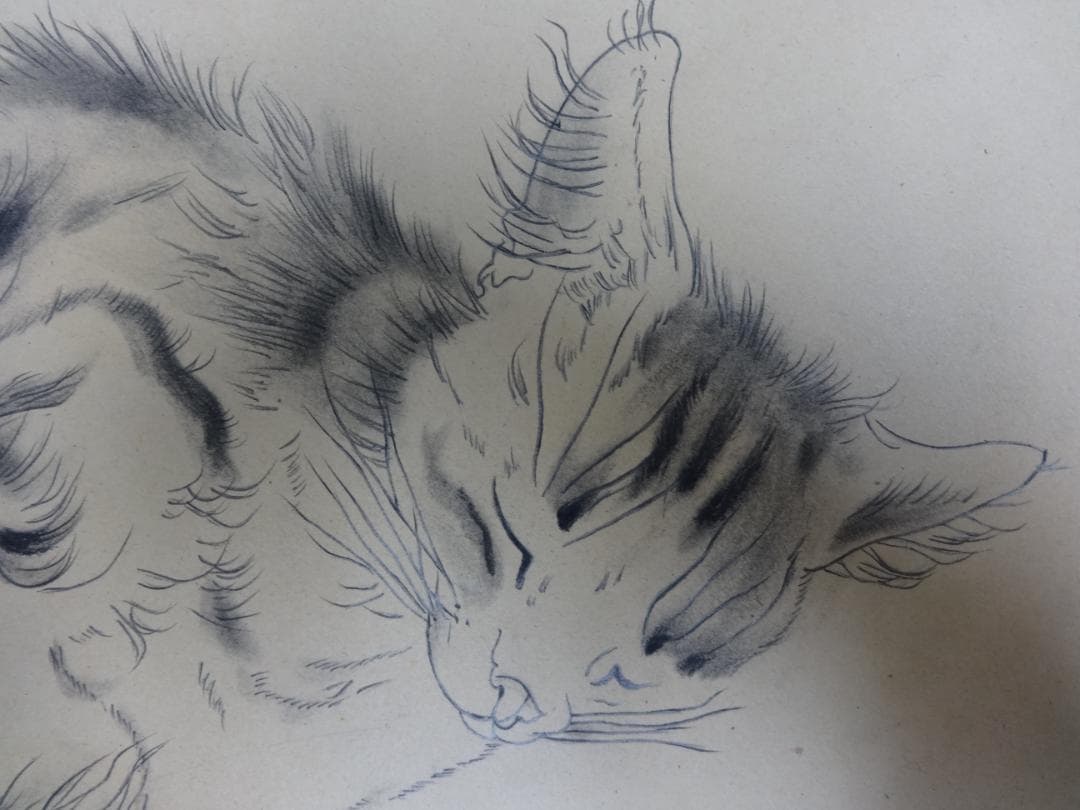 サ*バ様 藤田嗣治 子猫 1952年 肉筆鉛筆画 ・紙本著色・レオナールフジタ・