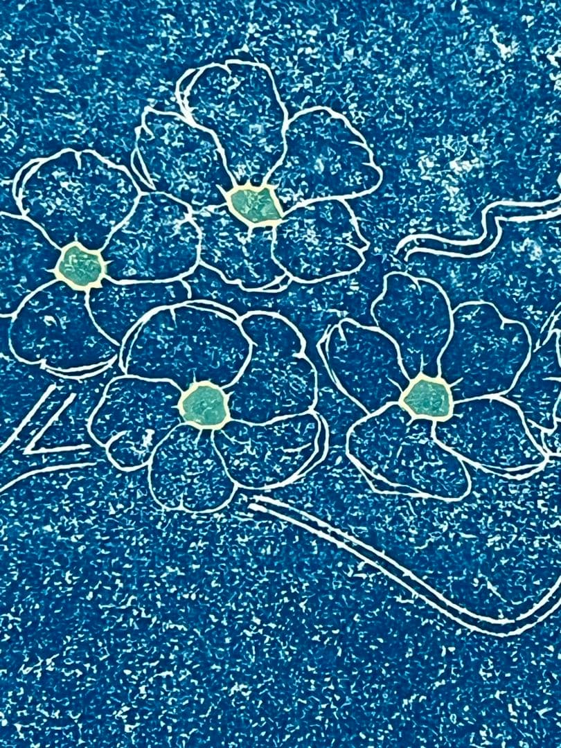 『Sweet soft Jasmine』 #ジャスミン