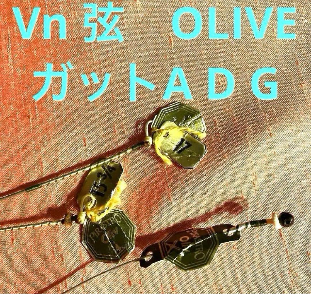 オリーブ　ガット弦　ADG3本セット　新品未使用