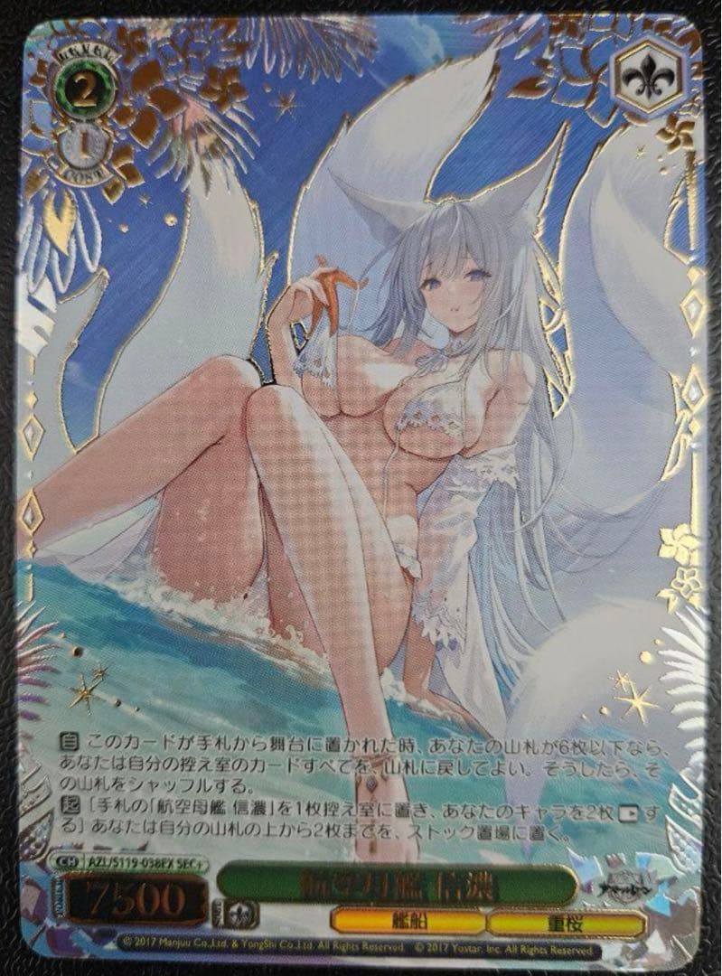 ■値下げ不可　航空母艦　信濃　sec+