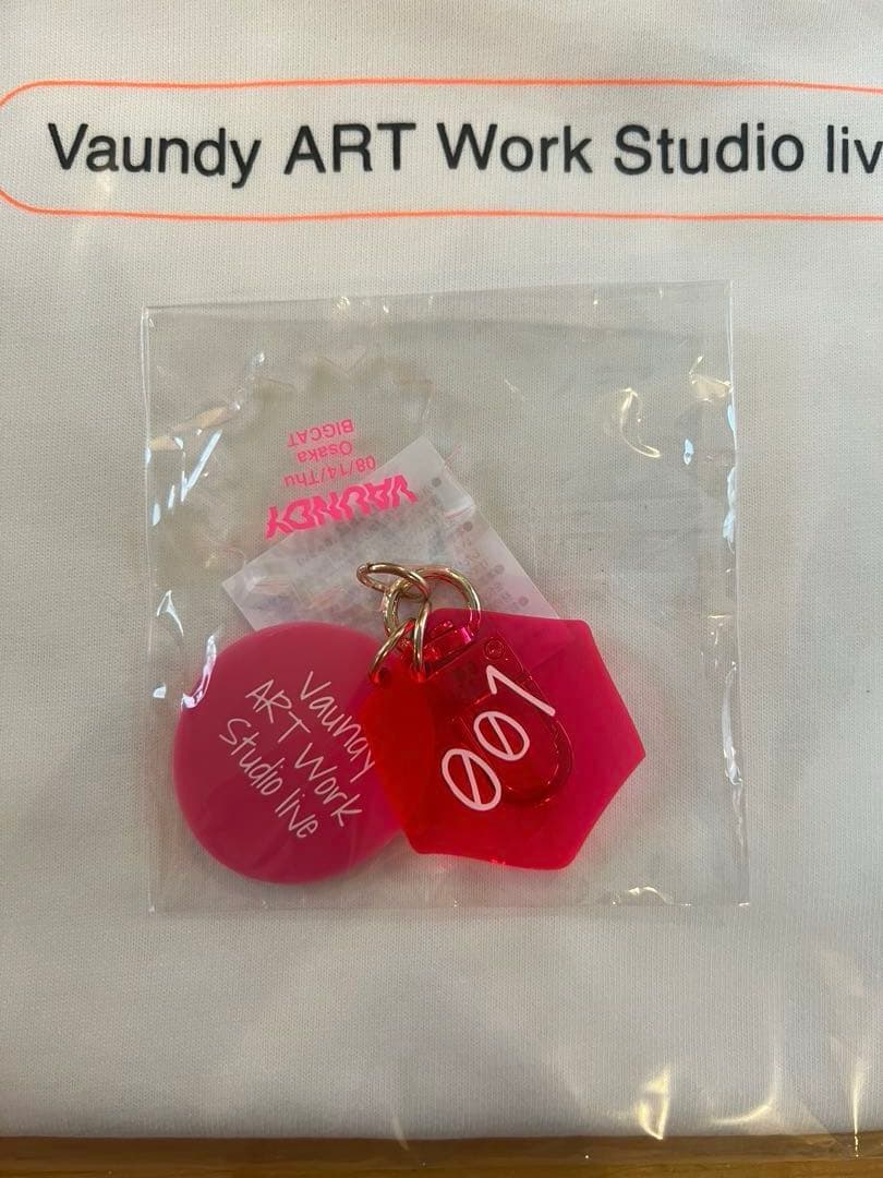 ミュージシャン Vaundy ART Work Studio live 001 replica