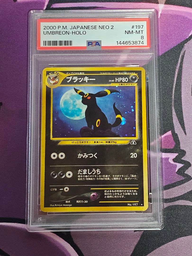 PSA8 ブラッキー　旧裏