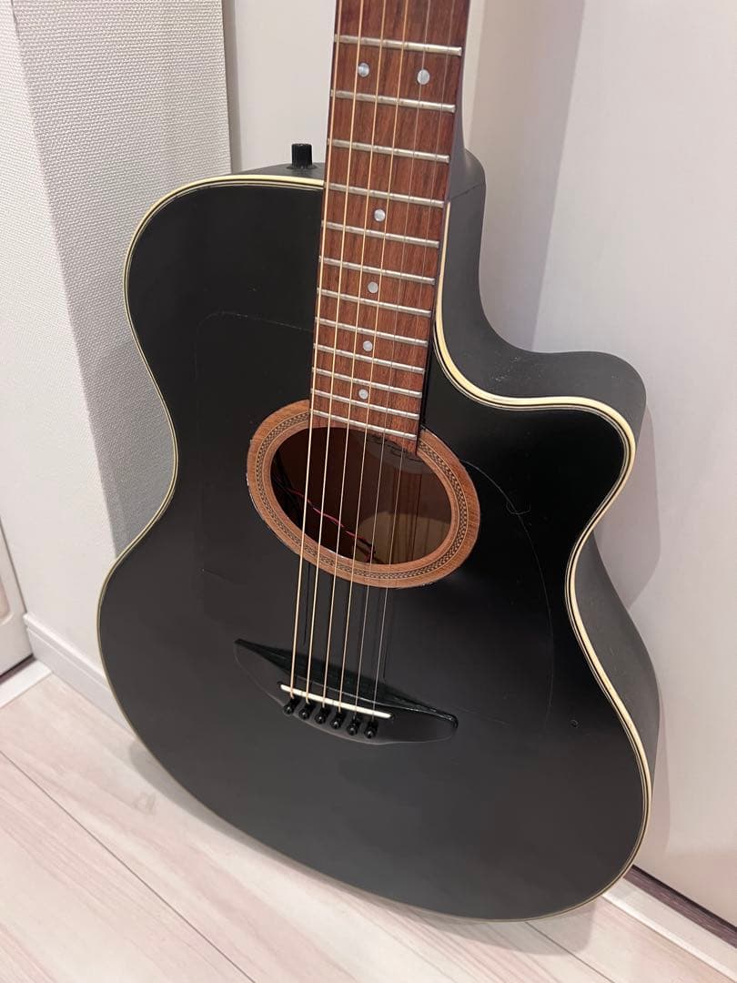YAMAHA APX-6s 長渕剛