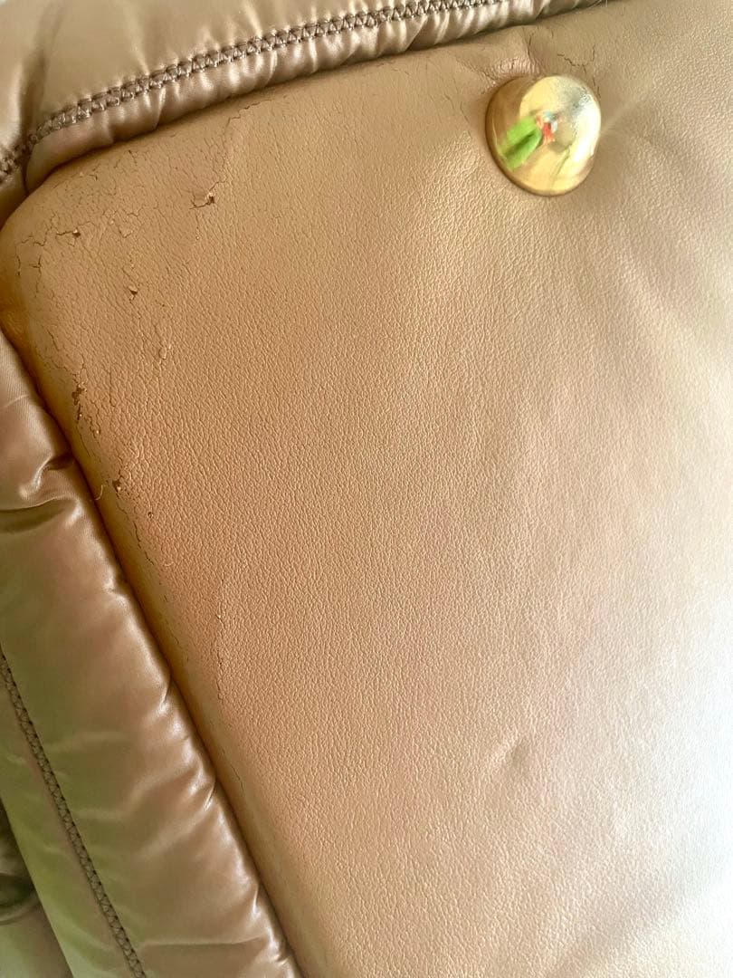 希少 ForPetsOnly キャリーバッグ イタリア直 シャンパンブラウン