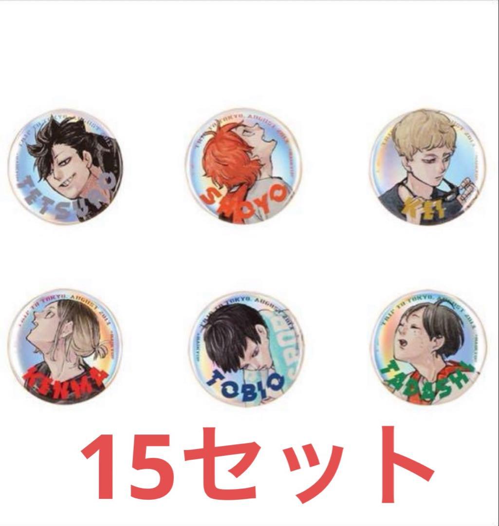 ジャンプGIGA 限定誌上通販 『ハイキュー!!』 缶バッジ6種 15セット