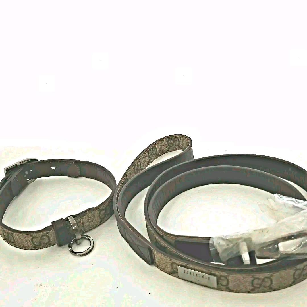 GUCCI グッチ　カラー&リード　首輪とリード