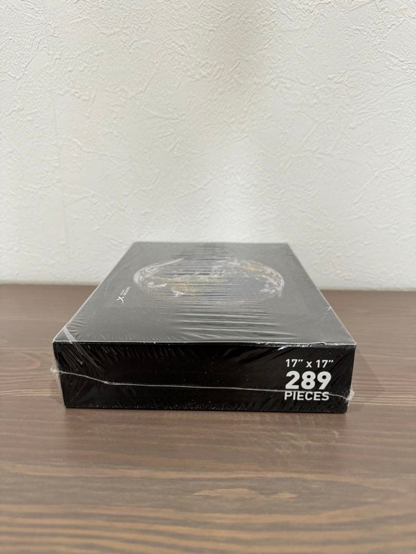 SpaceX 2020モザイクパズル 17 \"x 17\" 289ピース