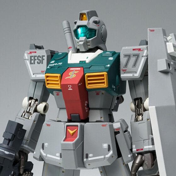 【期間限定セール】新品 GFF L COMPOSITE ドアンザク ジム