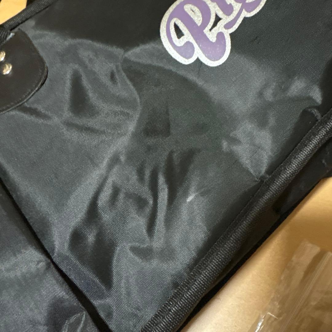 Pignose（ピグノーズ）PGG-200 アンプ内蔵ミニギター CAレッド