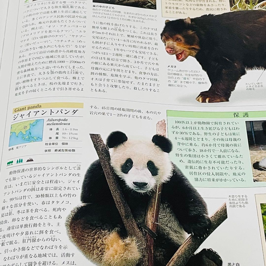 ☘【希少 2冊セット】海洋大図鑑 世界動物大図鑑