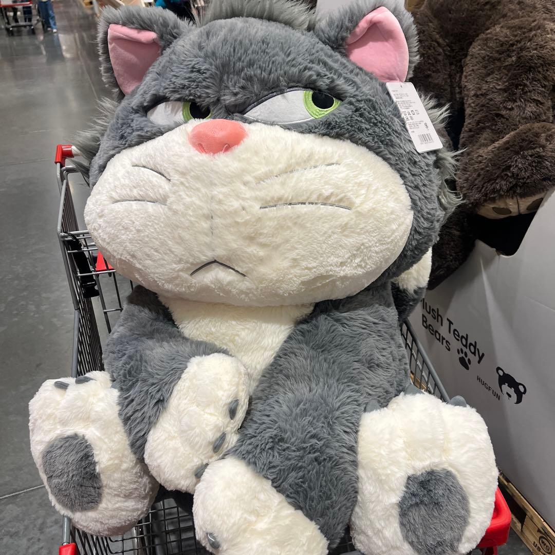 ルシファー　80㎝ぬいぐるみ《ブランケット付き》