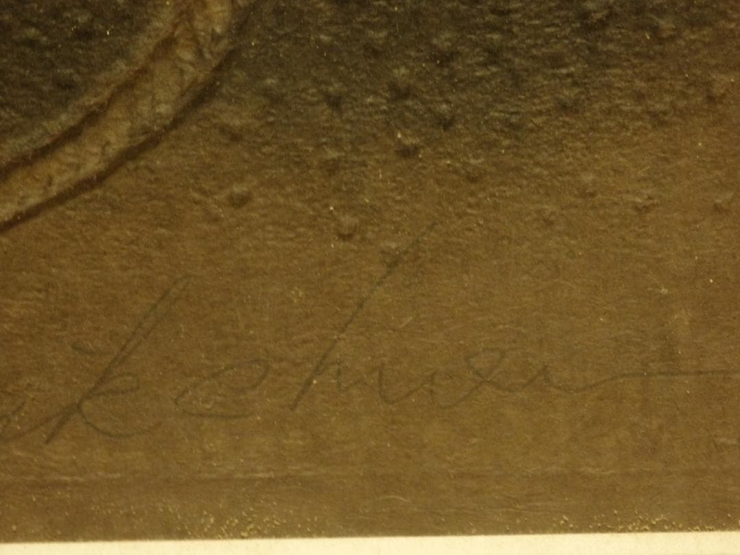 Ha Bik Chuenハ・ビクチュエン、香港現代アート