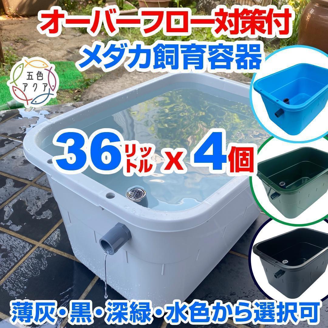 メダカ飼育ケース 36㍑x4個（4色あり）オーバーフロー付 金魚容器 ビオトープ