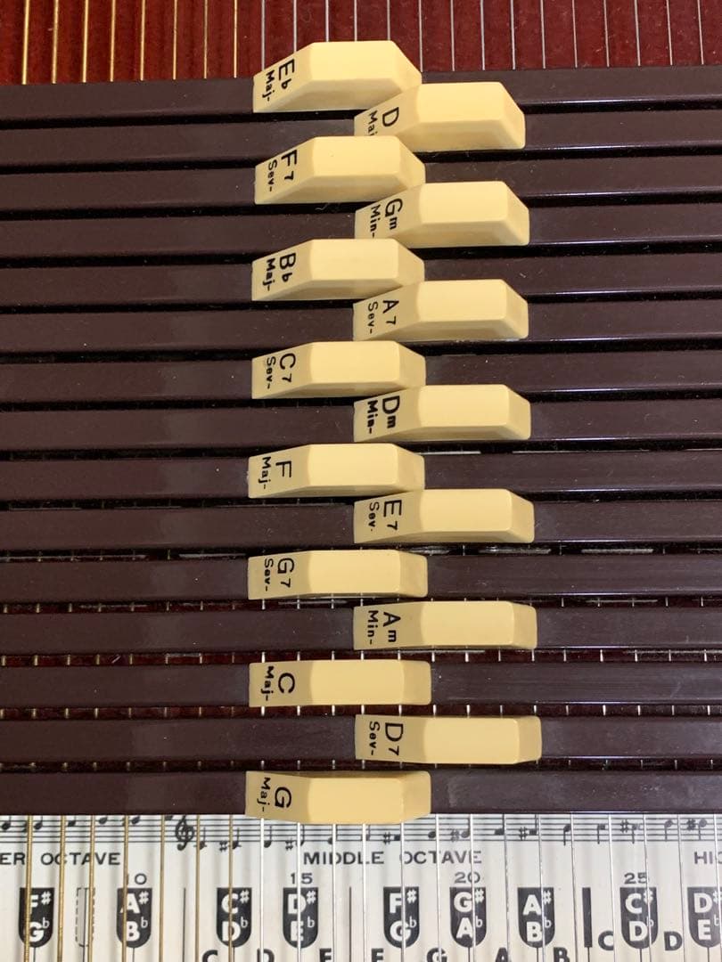 Tokai Gakki クロマハープ&Oscar Shmidtギグバッグ