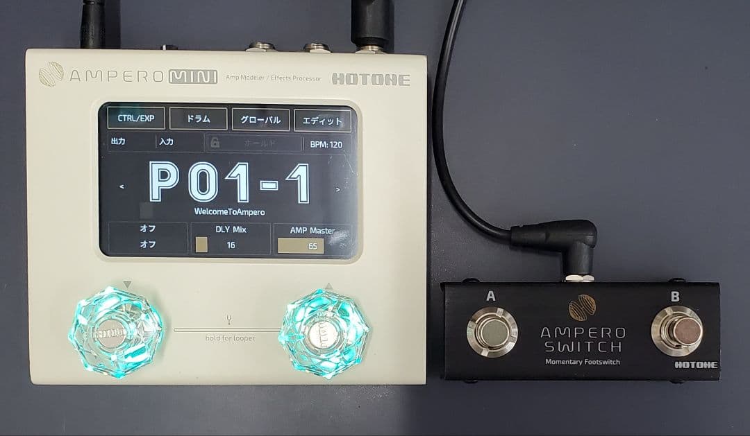 Hotone Ampero Mini 増設デュアルフットスイッチ付